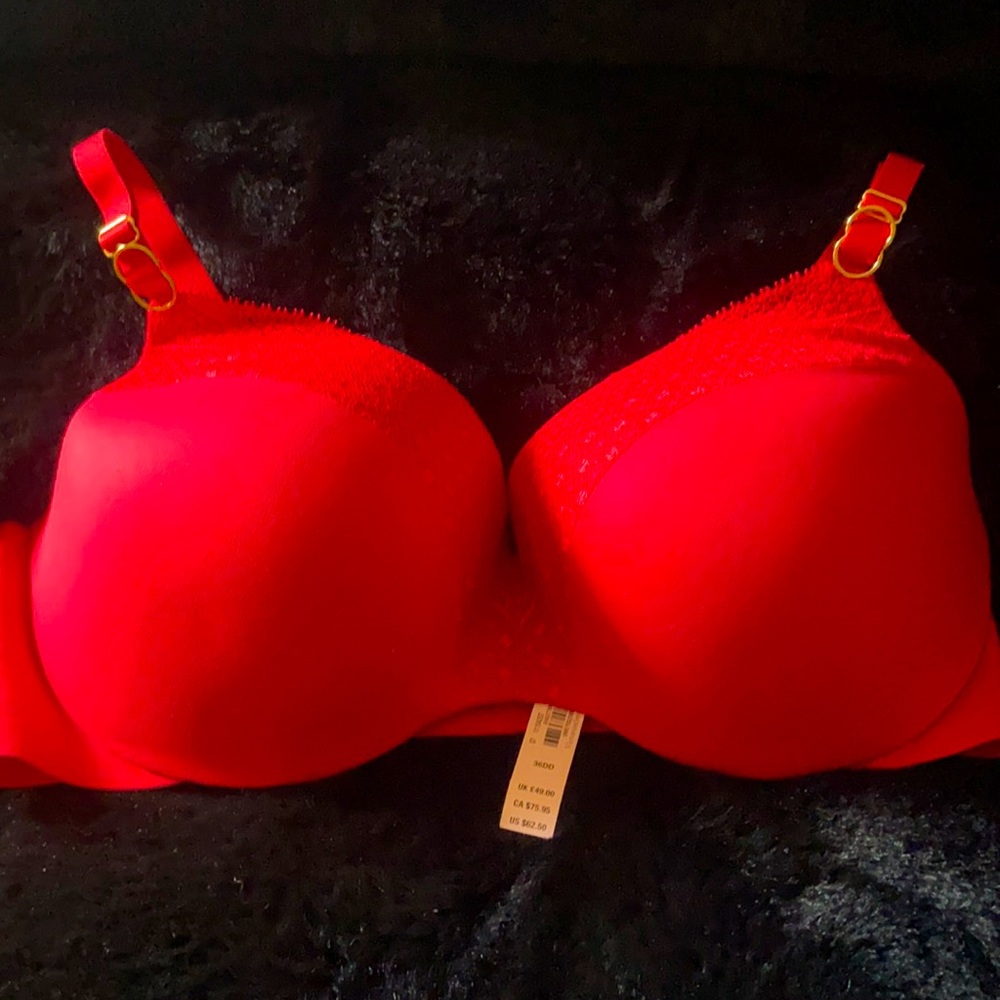Demi bra from Victoria’s Secret